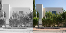 Rivlin House